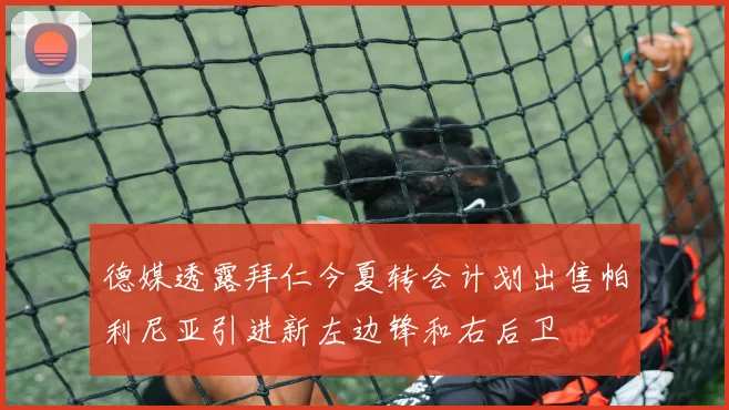 德媒透露拜仁今夏转会计划出售帕利尼亚引进新左边锋和右后卫